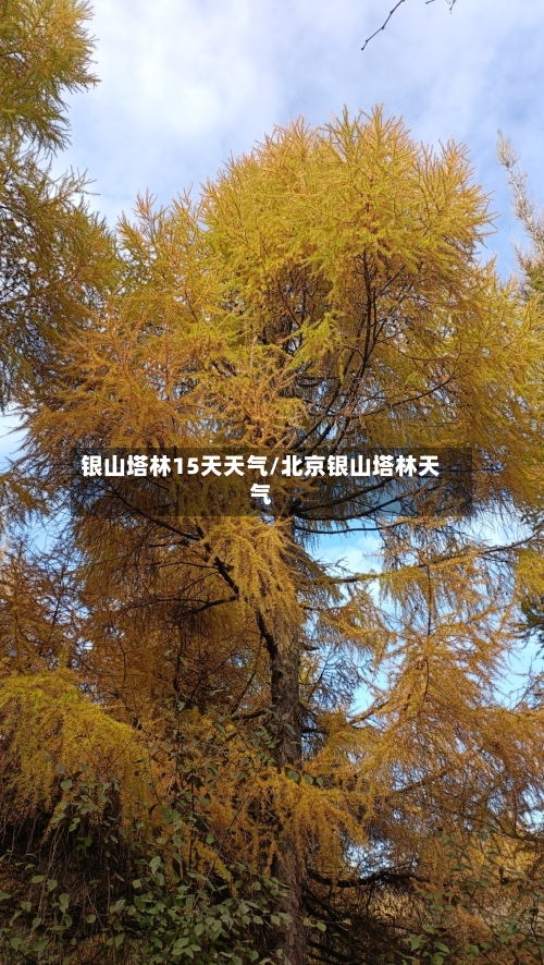 银山塔林15天天气/北京银山塔林天气