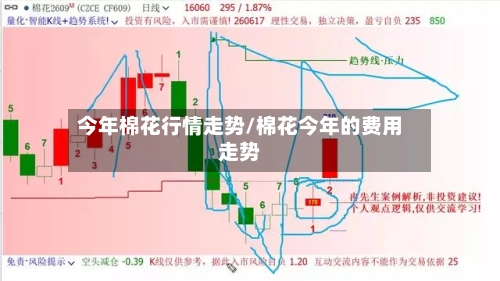 今年棉花行情走势/棉花今年的费用走势
