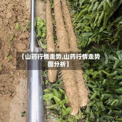 【山药行情走势,山药行情走势图分析】