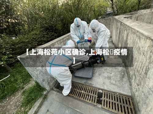 【上海松苑小区确诊,上海松冮疫情】