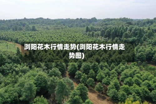 浏阳花木行情走势(浏阳花木行情走势图)