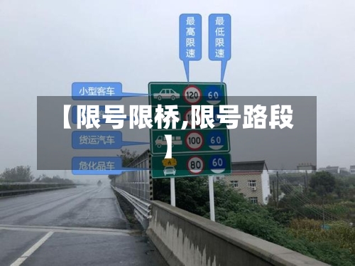 【限号限桥,限号路段】