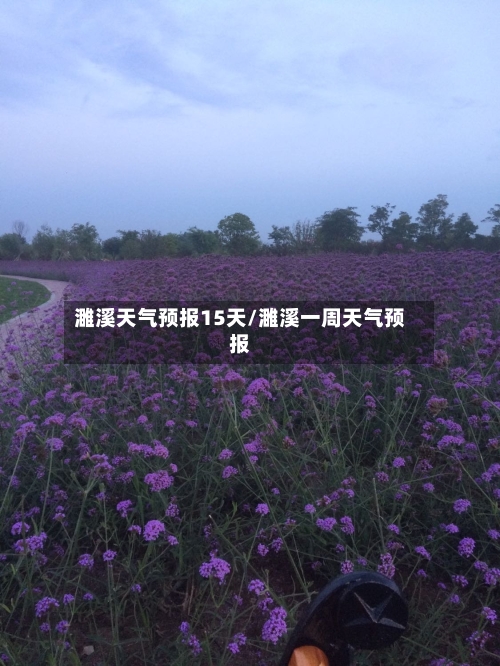 濉溪天气预报15天/濉溪一周天气预报