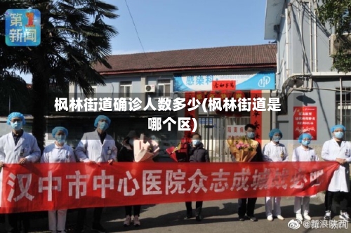 枫林街道确诊人数多少(枫林街道是哪个区)