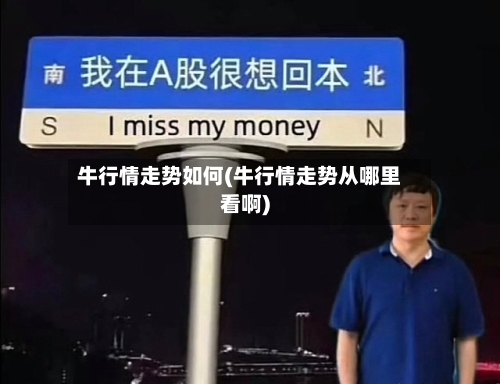 牛行情走势如何(牛行情走势从哪里看啊)