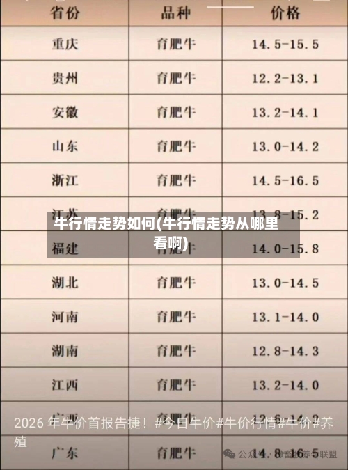 牛行情走势如何(牛行情走势从哪里看啊)