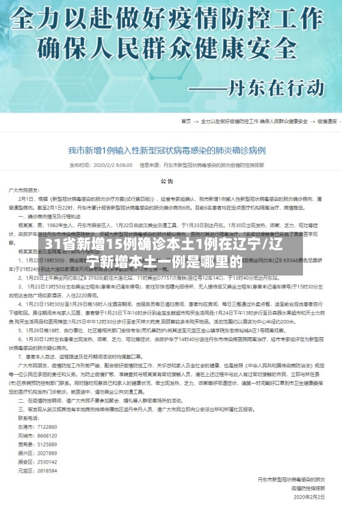 31省新增15例确诊本土1例在辽宁/辽宁新增本土一例是哪里的