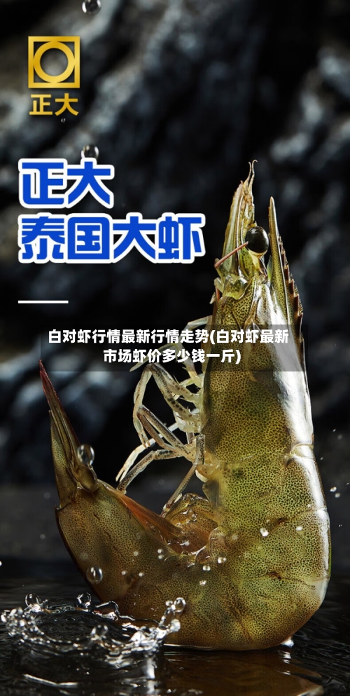 白对虾行情最新行情走势(白对虾最新市场虾价多少钱一斤)