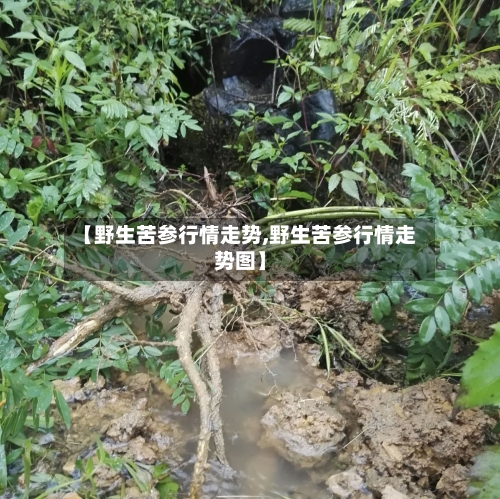 【野生苦参行情走势,野生苦参行情走势图】