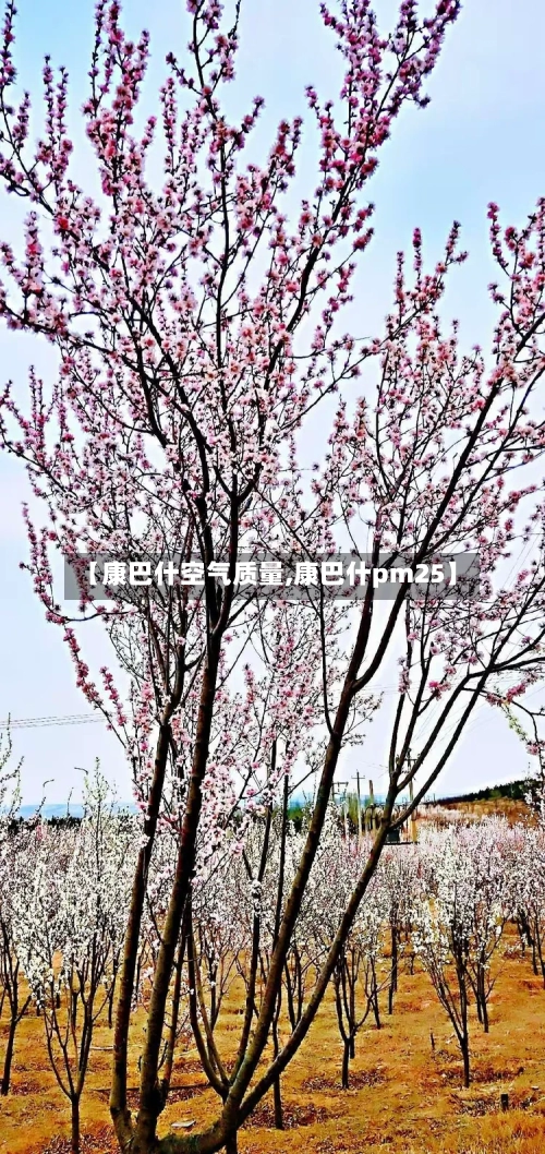 【康巴什空气质量,康巴什pm25】