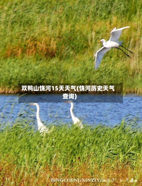双鸭山饶河15天天气(饶河历史天气查询)