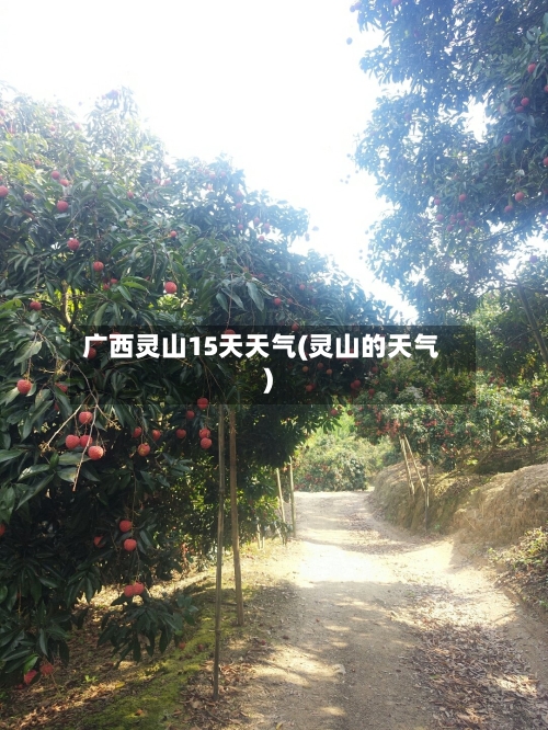 广西灵山15天天气(灵山的天气)