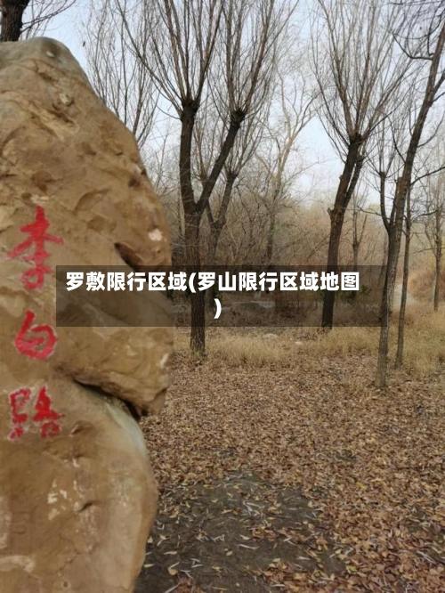 罗敷限行区域(罗山限行区域地图)