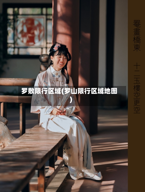 罗敷限行区域(罗山限行区域地图)