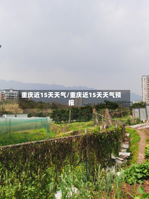 重庆近15天天气/重庆近15天天气预报