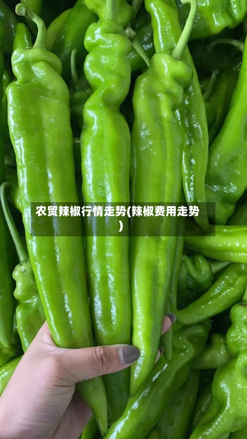 农贸辣椒行情走势(辣椒费用走势)