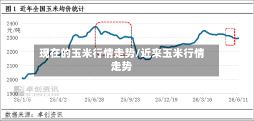 现在的玉米行情走势/近来玉米行情走势
