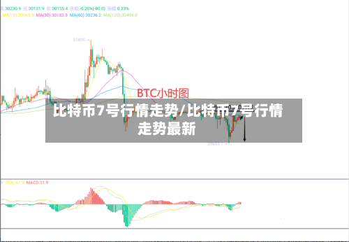 比特币7号行情走势/比特币7号行情走势最新