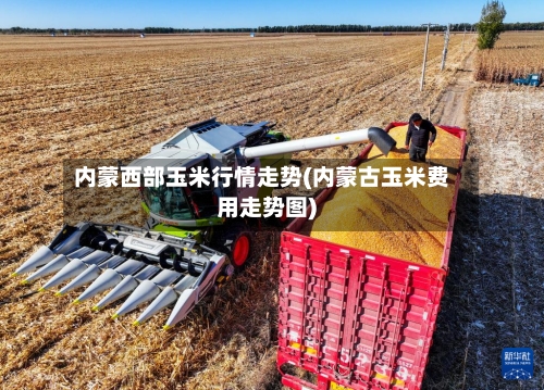 内蒙西部玉米行情走势(内蒙古玉米费用走势图)