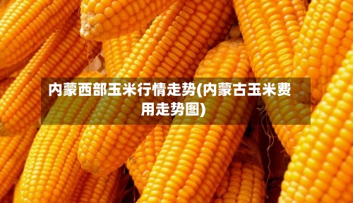 内蒙西部玉米行情走势(内蒙古玉米费用走势图)