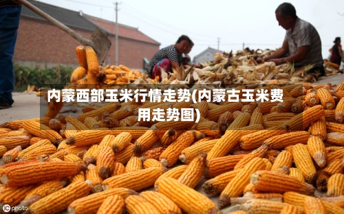 内蒙西部玉米行情走势(内蒙古玉米费用走势图)