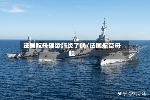 法国航母确诊肺炎了吗/法国航空母舰