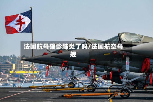 法国航母确诊肺炎了吗/法国航空母舰