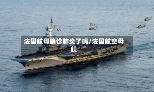 法国航母确诊肺炎了吗/法国航空母舰