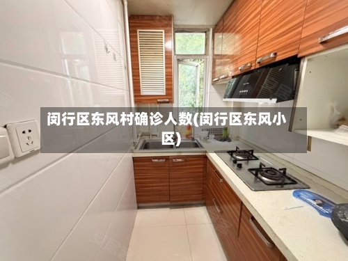 闵行区东风村确诊人数(闵行区东风小区)
