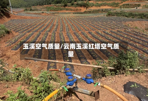 玉溪空气质量/云南玉溪红塔空气质量