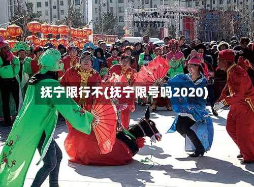 抚宁限行不(抚宁限号吗2020)