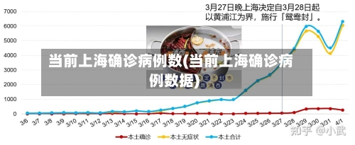 当前上海确诊病例数(当前上海确诊病例数据)