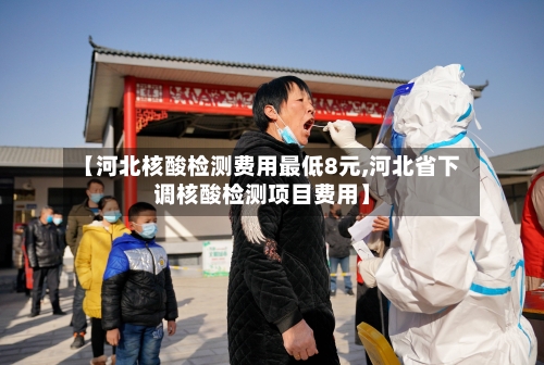 【河北核酸检测费用最低8元,河北省下调核酸检测项目费用】