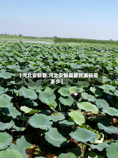 【河北安新县,河北安新县邮政编码是多少】