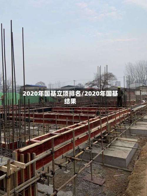 2020年国基立项排名/2020年国基结果