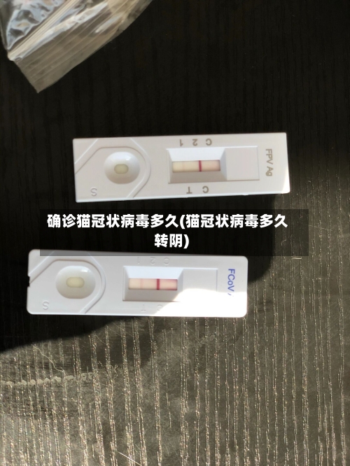 确诊猫冠状病毒多久(猫冠状病毒多久转阴)