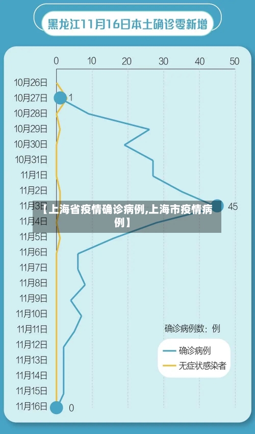 【上海省疫情确诊病例,上海市疫情病例】