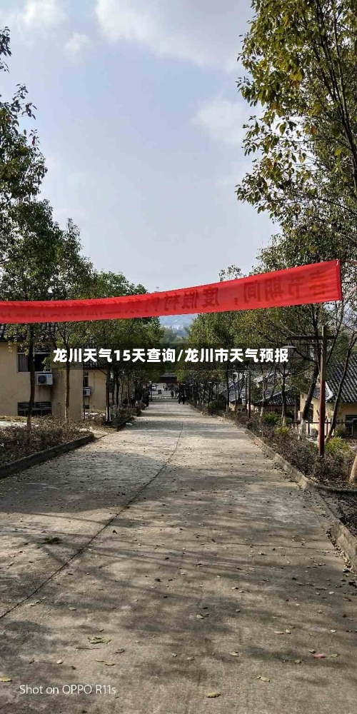 龙川天气15天查询/龙川市天气预报