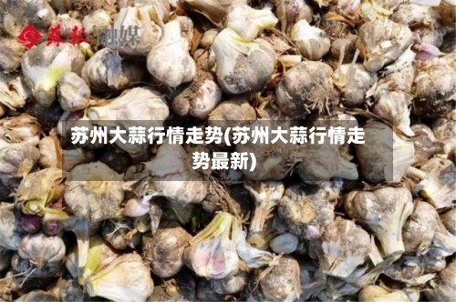 苏州大蒜行情走势(苏州大蒜行情走势最新)
