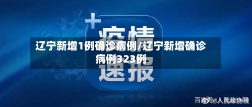 辽宁新增1例确诊病例/辽宁新增确诊病例323例