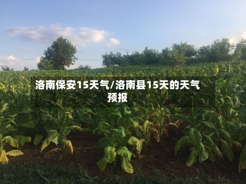 洛南保安15天气/洛南县15天的天气预报