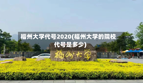 福州大学代号2020(福州大学的院校代号是多少)