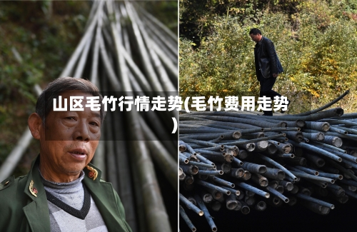 山区毛竹行情走势(毛竹费用走势)