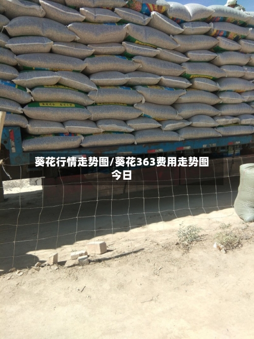葵花行情走势图/葵花363费用走势图今日