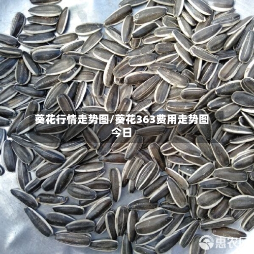 葵花行情走势图/葵花363费用走势图今日
