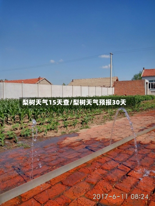 梨树天气15天查/梨树天气预报30天