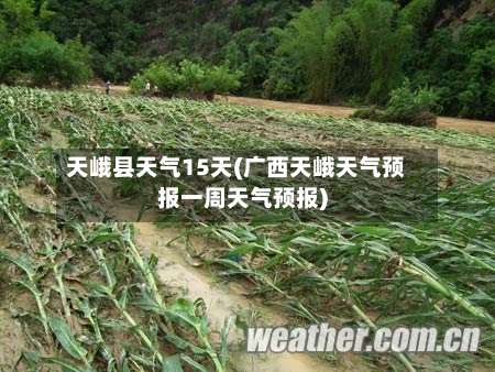 天峨县天气15天(广西天峨天气预报一周天气预报)
