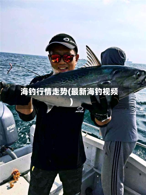海钓行情走势(最新海钓视频)