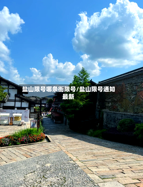 盐山限号哪条街限号/盐山限号通知最新
