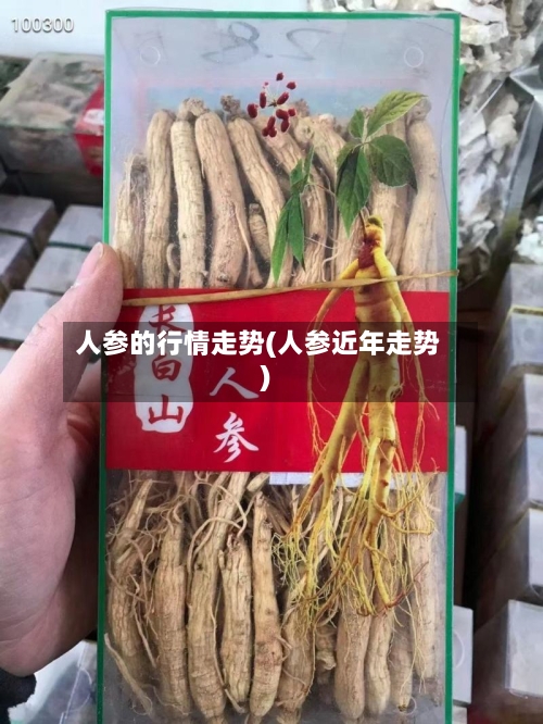 人参的行情走势(人参近年走势)